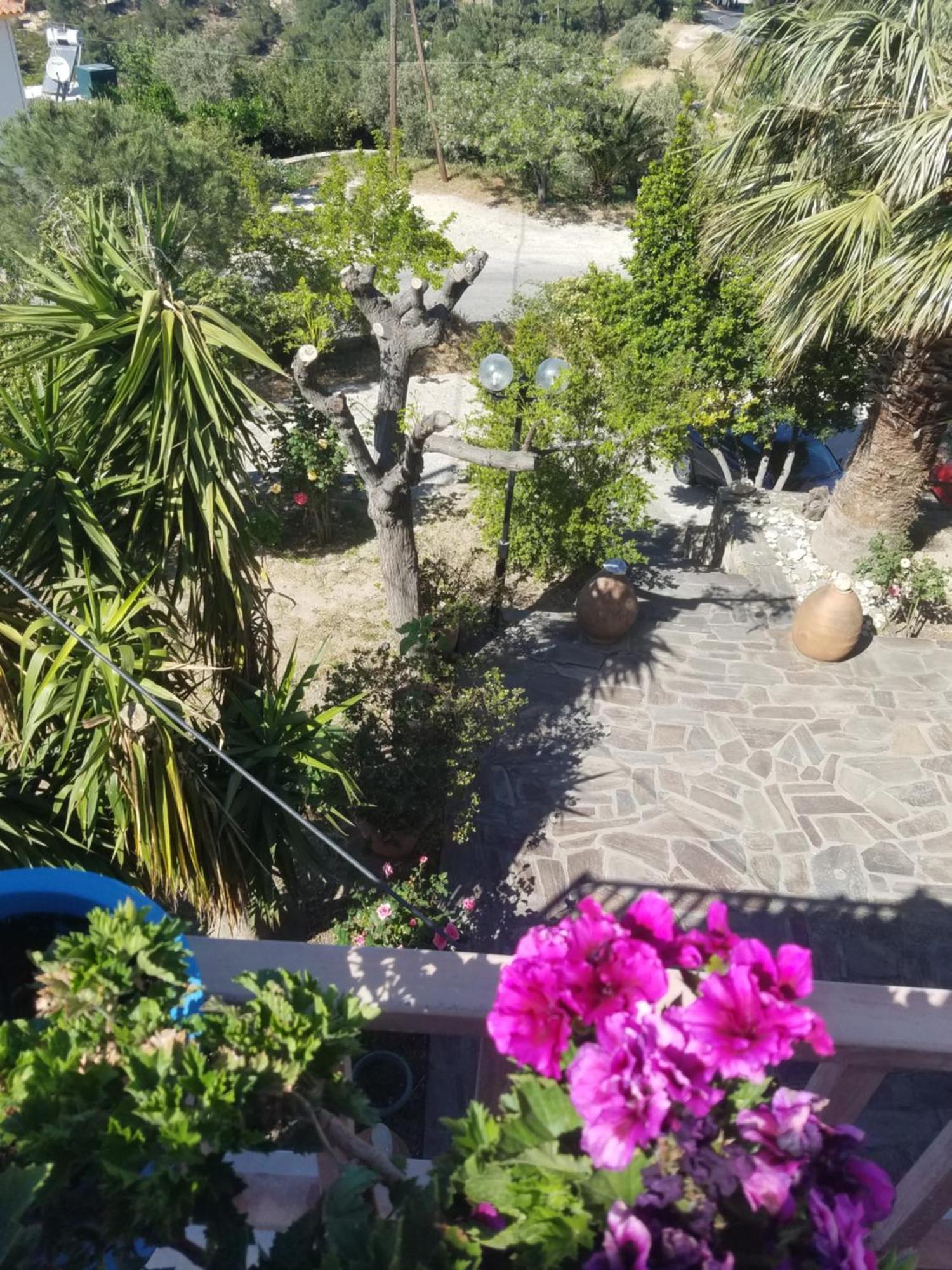 Spitikariotiko Panoramic Home Raches  Kamer foto